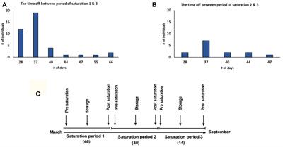 Evaluation of Divers’ Neuropsychometric Effectiveness and High-Pressure Neurological Syndrome via Computerized Test Battery Package and Questionnaires in Operational Setting